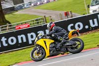 Oulton-Park-21st-March-2020;PJ-Motorsport-Photography-2020;anglesey;brands-hatch;cadwell-park;croft;donington-park;enduro-digital-images;event-digital-images;eventdigitalimages;mallory;no-limits;oulton-park;peter-wileman-photography;racing-digital-images;silverstone;snetterton;trackday-digital-images;trackday-photos;vmcc-banbury-run;welsh-2-day-enduro